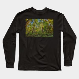 Muir Woods Long Sleeve T-Shirt